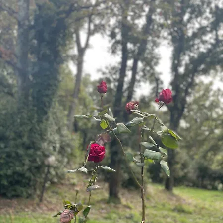 San Biagio Apartamento