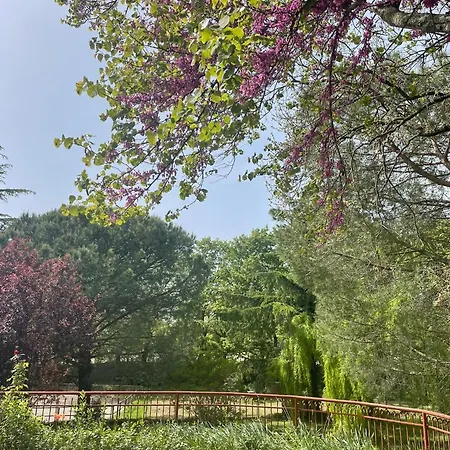 Apartamento San Biagio